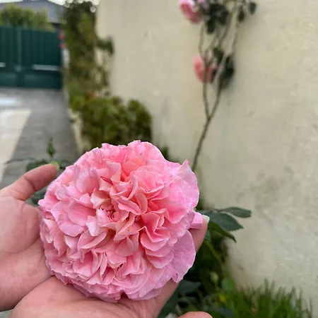 Bay Golf House * Cascaes