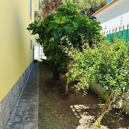 Bay Golf House *